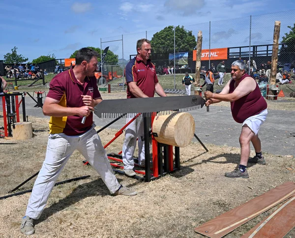 Christchurch Nueva Zelanda Noviembre 2022 Woodchopping Hombres Preparándose Para Concurso — Foto de Stock