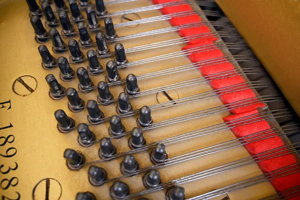 Grand Piano Strings Body Pegs Hammers Closeup — Stok Foto