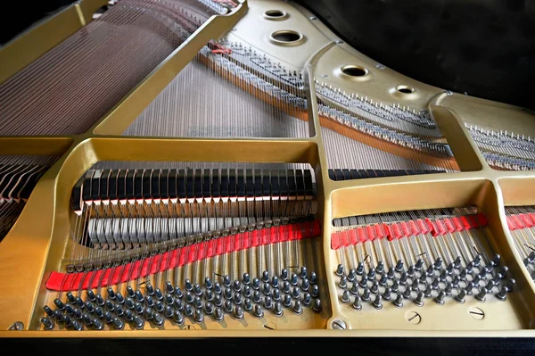 Grand Piano Strenge Krop Pegs Hammers Closeup - Stock-foto