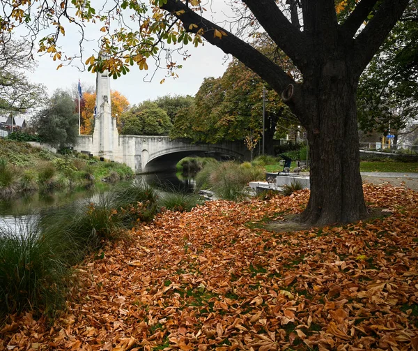 Bridge Remembrance Avon River Autumn Leaves Oxford Terrace Central Christchurch — Stock Photo, Image