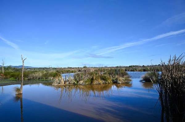 新西兰克赖斯特彻奇Burwood特拉维斯湿地和湖泊上空的蓝色冬季天空 — 图库照片