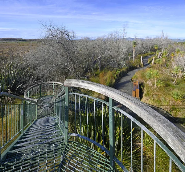 Uitzicht Toren Travis Wetlands Burwood Christchurch Nieuw Zeeland — Stockfoto