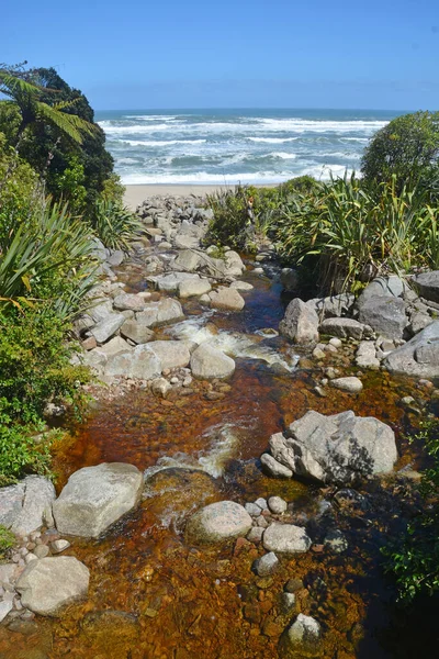 スコッツビーチ ハイファイトラック カラマ ニュージーランドでのノトファガス植物の自然な浸出によって引き起こされるブラウンストリーム — ストック写真