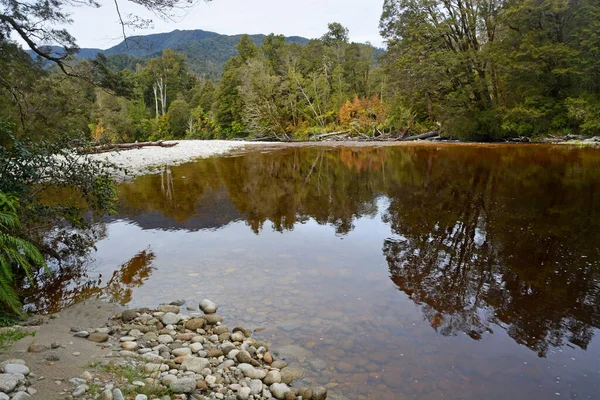 Amazing Brown Oparara River Causada Por Lixiviação Natural Plantas Nothofagus — Fotografia de Stock