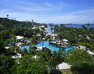 Singapur - 24 Temmuz 2023 Şangri la Rasa Tatil Köyü Sentosa Adası 'nda Yüzme Kakası.