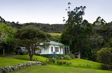 Geleneksel Tahta Beyaz Saray ve Glenfern 'deki Kauri ağacı, Büyük Bariyer Adası, Yeni Zelanda