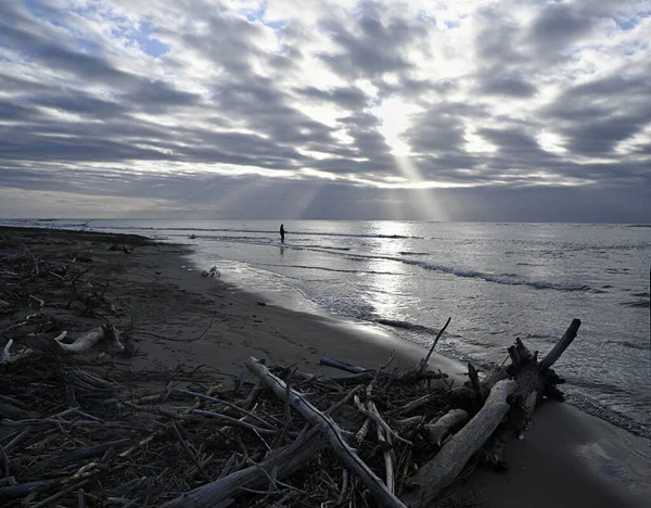 Şafakta Yalnız Balıkçı Waimakariri Nehri Ağzı Canterbury Yeni Zelanda Planda Stok Resim