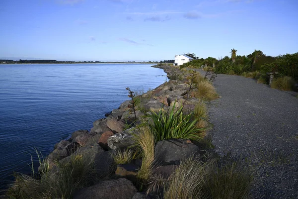 春天清晨 威玛卡里里河的海岸线 新西兰Kaiapoi Canterbury北部 免版税图库照片