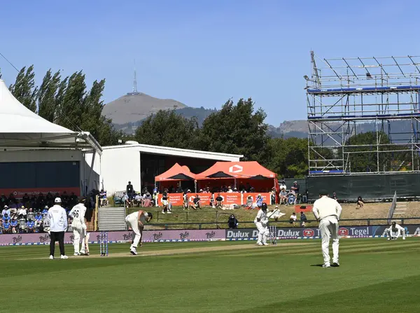Christchurch Yeni Zelanda Mart 2024 Cricket Avustralya Test Maçı Karşı Stok Resim