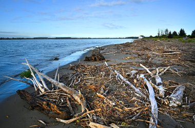 Waimakariri Nehri 'nin kıyısında, Canterbury, Yeni Zelanda' da ilk ışık parlıyor..