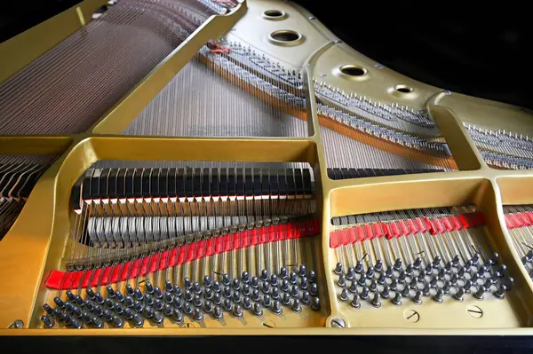Grand Piano Snaren Body Pegs Hammers Closeup — Stockfoto