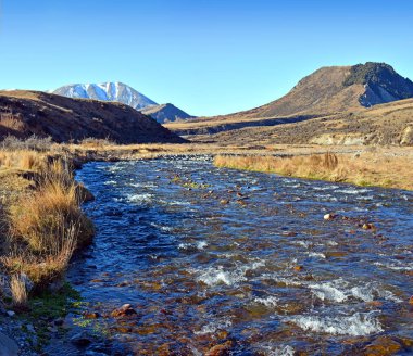 Porter River in the foreground and Castle Hill in the background. Mid Canterbury, New Zealand clipart