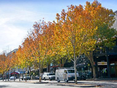 Melbourne, Avustralya - May14, 2014: Sonbahar Lygon Street, Melbourne önde gelen restoran ve kafe alanı.