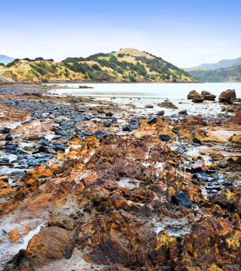 Onawe Yarımadası, Akaroa Limanı, Canterbury, Yeni Zelanda 'da bulunan bir volkanik kraterdir..