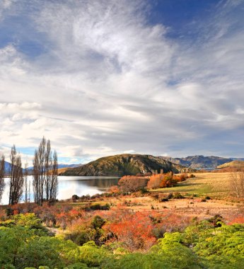 Dikey panoramik göl wanaka Güz. ön planda yeşil yerli eğrelti otları ve kırmızı yaban kuşburnu çalılar vardır. arka planda, kopya alanı bol olan bir dramatik norwest gökyüzüdür. Orta otago, Yeni Zelanda.