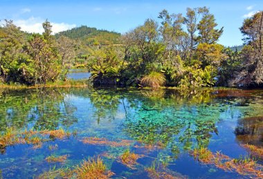 Manzara Pupu ünlü berrak suları görünümünü (Maori adı: Te Waikoropupu) Springs yakınındaki takak Golden Bay, Yeni Zelanda. 