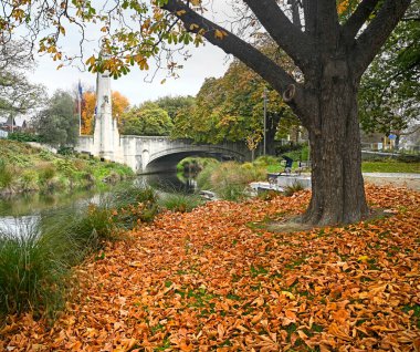Anılar Köprüsü, Avon Nehri ve Sonbahar Yaprakları Oxford Terası boyunca Yeni Zelanda 'nın orta kesiminde.
