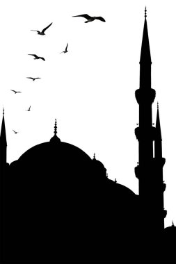 İstanbul şehir manzarası, Türkiye beyaz şeffaf arka planda izole edilmiş