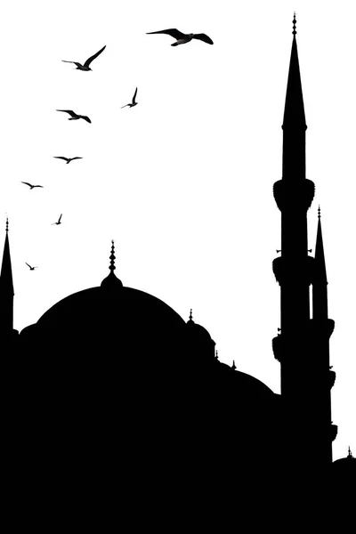 Istanbul Stadsbild Turkiet Isolerad Vit Transparent Bakgrund Stockbild