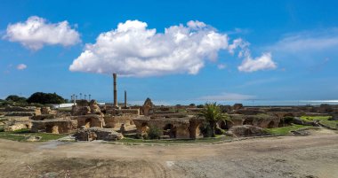 Archaeological site of Carthage with ruins and greener clipart