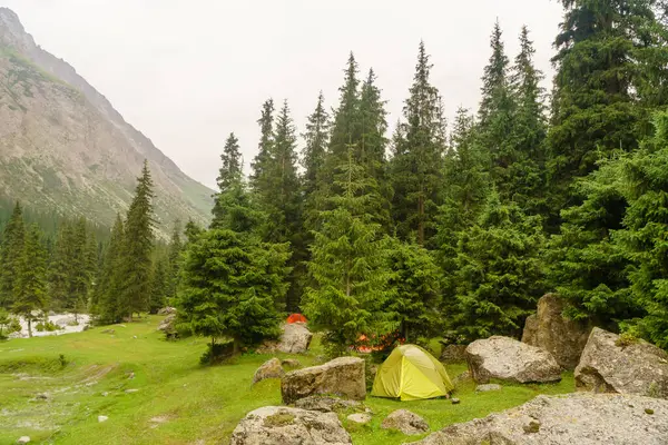 stock image Tents pitched in forest clearing by mountains. Green landscape surrounds campers. Tourism destination. Outdoor exploration base. Scenery for hiking enthusiasts. Adventure, travel, camping, wilderness.