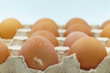 Geri dönüşümlü malzemeden yapılmış karton bir kutuda kahverengi yumurta. Bazı yumurtalar küçük toprak lekeleri ve tüyleri gösterir. Bu da organik ve taze doğalarını gösterir. Besleyici yemekler ve yemek tarifleri için ideal.