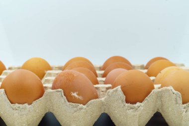 Tavuk yumurtaları, kahverengi yumurta kabukları geri dönüşümlü karton kutuda düzenlenir. Bazı yumurtalarda toprak ve tüy izleri var. Bu da organik, doğal tarım ürünleri olduğunu gösteriyor. Yemek pişirmek ve yemek tarifleri için ideal.