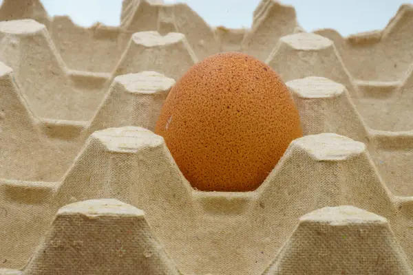 Kahverengi tavuk yumurtaları geri dönüşümlü bir karton kutuya yerleştirilir. Mutfak yemekleri ve besleyici yemekler için mükemmel. Bazılarının organik, taze çiftlik kalitesini vurgulayan küçük toprak ve tüyleri vardır.
