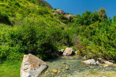 Yoğun bitki örtüsü, kır çiçekleri ve dik yamaçlarla çevrili yosunlu kayalar arasında kristal berrak su akıyor. Açık dağ turizmi ve doğa keşfi için barışçıl bir manzara yaratıyor..
