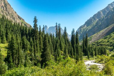 Bereketli yemyeşil orman bir dağ vadisini kaplar, sarp kayalıklarla, akan nehirlerle, uzak kar tepeli zirvelerle, parlak güneş ışığıyla, dağcılık ve vahşi doğa yolculukları için mükemmeldir..