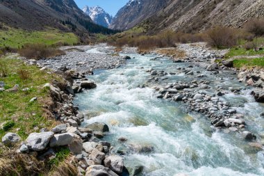Ala-Archa Parkı, Whitewater nehri engebeli dağların arasından esiyor. Çimenli çayırlar, kayalık kıyılar, uzak çam ormanı ve açık mavi gökyüzü altında yükselen karlı zirveler..