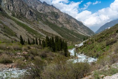 Ala-Archa Parkı dik yamaçları, akan nehir, çam ağaçları, kayalık arazi, kır çiçekleri, yemyeşil bitki örtüsü, dramatik gökyüzü, uzak vahşi doğa. Seyahat, yürüyüş, dağcılık, açık hava keşfi