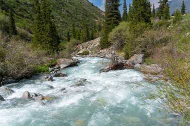 Ala-Archa Parkı, hızlı akan beyaz su nehri dağlık araziyi kesiyor. Evergreen ormanı kayalık, el değmemiş çevre. Dağ yürüyüşü, taşra macerası ve doğa keşfi..