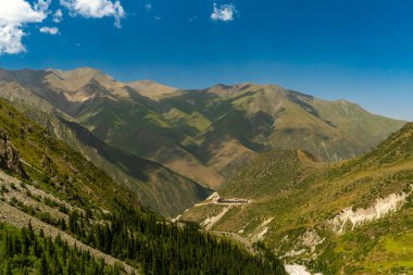 Ala-Archa, geniş bir dağlık arazide kurulmuş bir dağ kampı, yeşil yamaçlar, kayalık tepeler, orman vadileri, açık gökyüzü, açık hava yürüyüşü, tırmanış, yürüyüş, yürüyüş, sırt çantası ve dağlık geziler için mükemmel..
