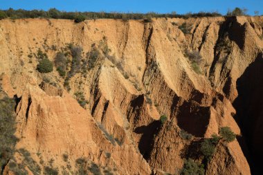 Valdepenas de la Sierra 'daki Carcavas cephesi, Guadalajara, İspanya