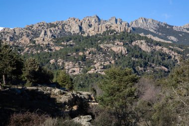 Pedriza Park 'ta Karlı Tepeler ve Kış Ağaçları; Manzanares; Madrid; İspanya