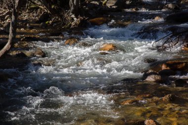 Pedriza Park 'taki Ağaçlar ve Nehir; Manzanares; Madrid; İspanya