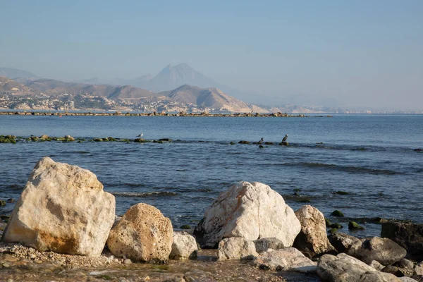 西班牙埃利坎特El Campello海滩上的岩石和Gannets — 图库照片