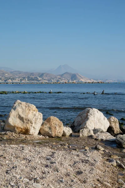 stock image Rocks and Gannets on El Campello Beach, Alicante; Spain