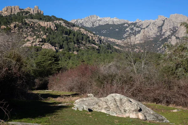 Pedriza Ulusal Parkı Nda Kayalar Kış Ağaçları Manzanares Madrid Spanya — Stok fotoğraf