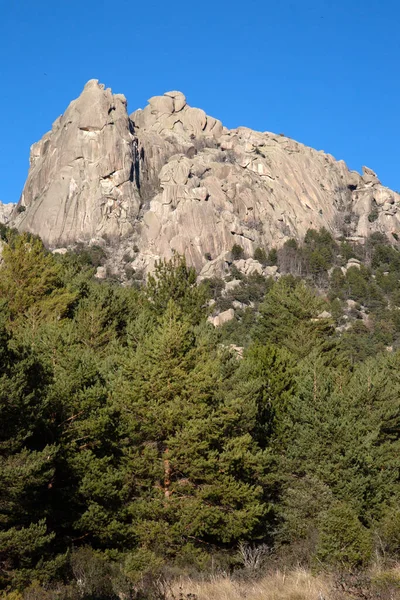 Pico Árvores Parque Nacional Pedriza Manzanares Madrid Espanha Imagem De Stock