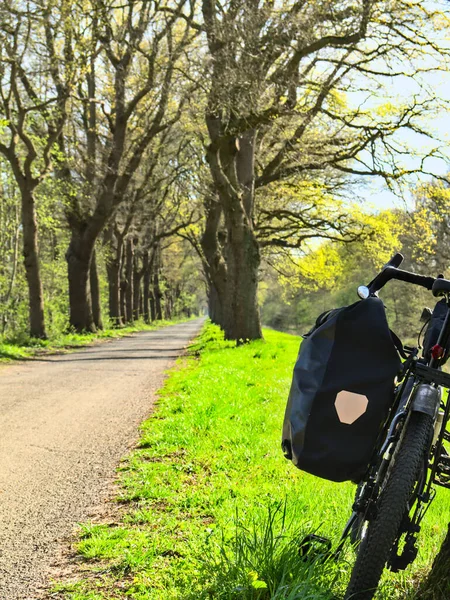 Recreation for relaxation with the bicycle on the forest path