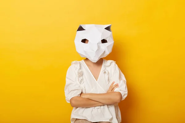 Imagen Una Mujer Anónima Confiada Con Vestido Máscara Gato Papel — Foto de Stock