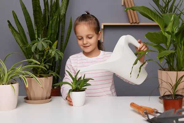 暗い髪の小さな白人の女の子の屋内ショット縞模様のシャツを着て散水観葉植物 家庭菜園で働く子供 家庭植物の世話をする — ストック写真