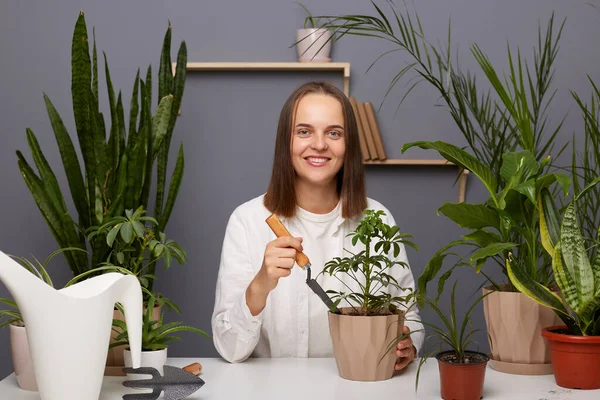 stock image Image of smiling delighted young adult brown-haired woman botanist wearing white shirt replanting flowers, holding garden shovel, looking at camera with toothy smile.