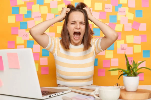 Sad upset woman sitting in office in front of notebook, screaming loud and pulls her hair, broke her computer or having problems with internet connection, posing against yellow wall with memo cards.