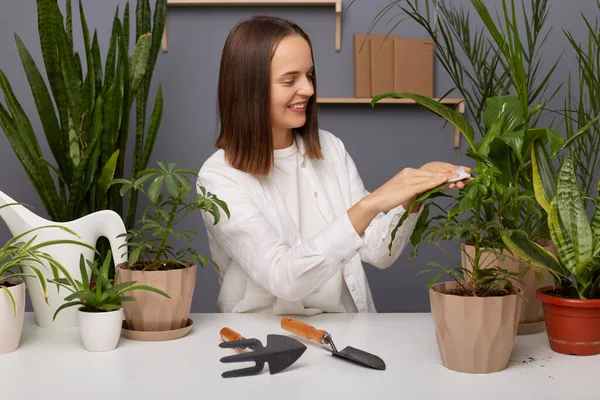 温室内の植物の緑の葉からほこりを拭く茶色の髪をした女性の庭師の屋内ショット 肯定的な感情を表現し 花の店で彼女の仕事を楽しんで — ストック写真