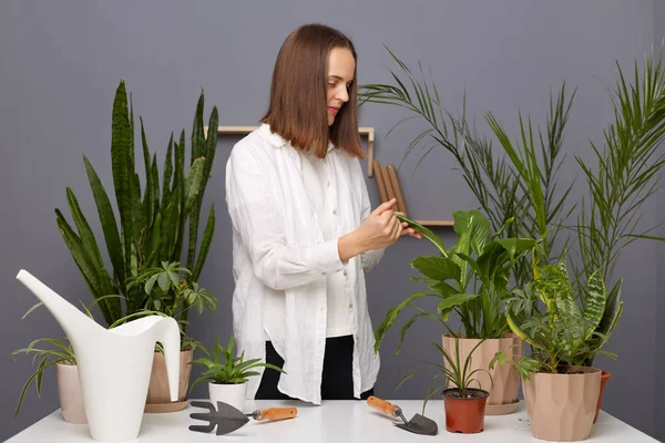白いシャツの暗い髪の女性の庭師の屋内ショットは 植物やポットに囲まれた温室内の観葉植物の世話をする 家庭菜園 植物やケアの愛 — ストック写真