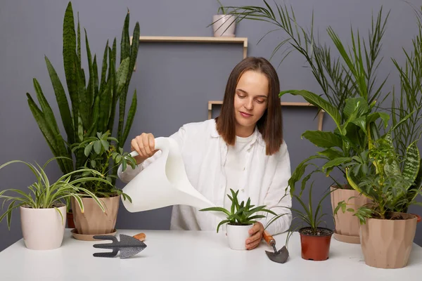 白い散水缶を使用して 植物やポットに囲まれたポーズ 温室内の鉢植えのシャツの茶色の髪の白人女性の花屋の水平ショット — ストック写真