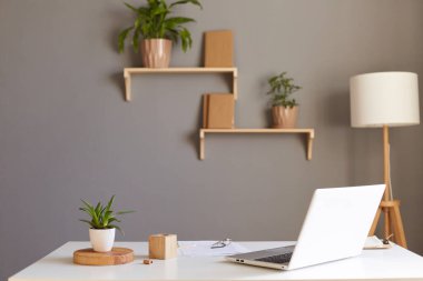 Beyaz dizüstü bilgisayar, bitki ve belgeler boş ofis, lamba, gri duvarda çiçekler olan raflar.